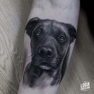 tatuaje_blackwork_perro_brazo_logiabarcelona_pedro_monteiro   